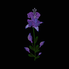 Obraz premium Beautiful lilac flowers fuchsia. Embroidery of jeans. Embroidery is smooth. Vector illustration on a black background.