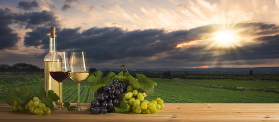 Wine at sunset, landscape