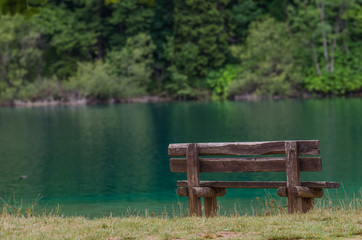 empty bench in front of a green lake