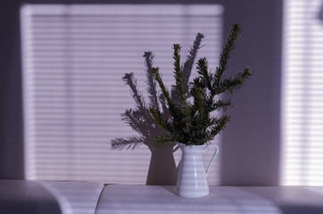 pine branches in a vase
