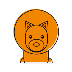 Wild lion isolated icon vector illustration design