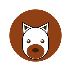 Obraz premium Wild lion isolated icon vector illustration design