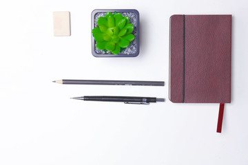 diary, pencils and cactus on the desktop