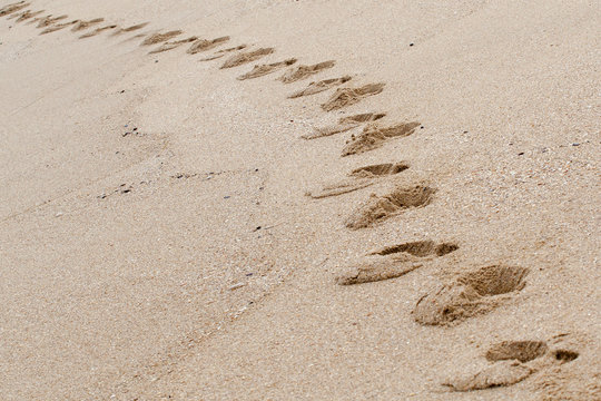 Pegadas na areia da praia