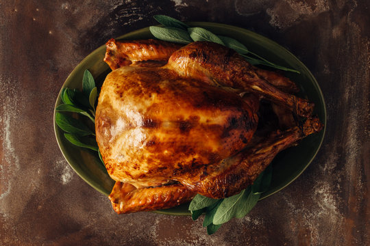 Thanksgiving turkey from overhead