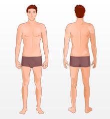 Male body. Full length front and back view of man In underwear