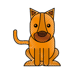 Wild lioness isolated icon vector illustration design