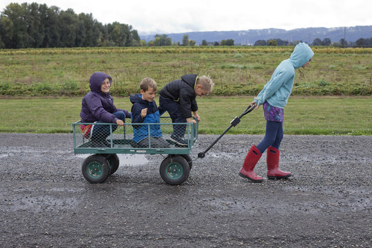 Big sister pulls her three siblings in a wagon