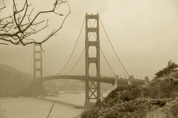 Dry tree and Golden gate bridge, San Francisco, California, USA