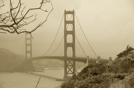 Fototapeta Dry tree and Golden gate bridge, San Francisco, California, USA