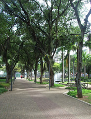 Moscoso park 