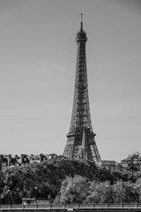 The Eiffel Tower in Paris - view from Alexandre III Bridge