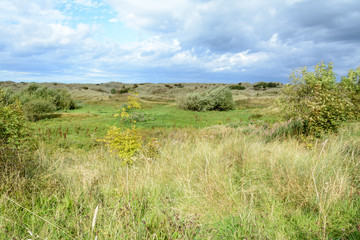 Obraz premium Green surroundings