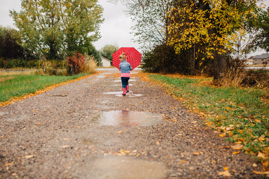 Red Polka Dot Umbrella