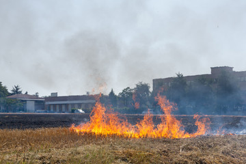 Close to a Wheat field in flames Blackened and completely burnt