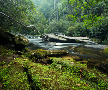 Fototapeta Beautiful mountain river and large granite boulders in the lush forests of the Appalachian Mountains in North Carolina