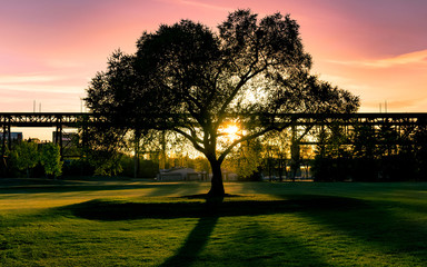 Long Shadows