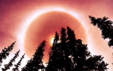 Totality
