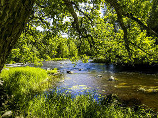 Gysinge, Färnebofjärdens Nationalpark, Schweden, Norrland, Gä