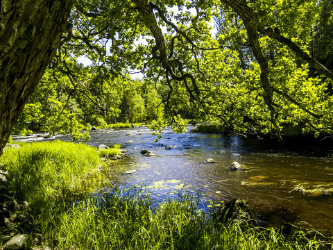 Gysinge, F&auml;rnebofj&auml;rdens Nationalpark, Schweden, Norrland, G&auml;