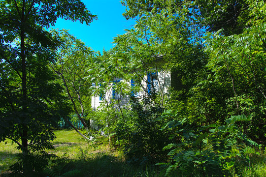 Destroyed houses in which people lived in a dead radioactive zone. Consequences of the Chernobyl nuclear disaster and vandalism, August 2017.