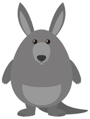Fototapeta na wymiar Gray kangaroo with happy face