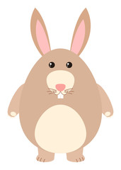 Fototapeta premium Cute rabbit with brown fur