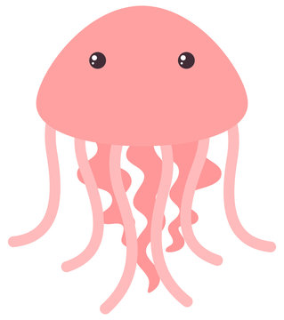 Pink jellyfish on white background