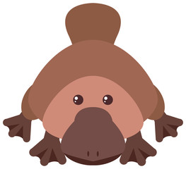 Platypus with happy face