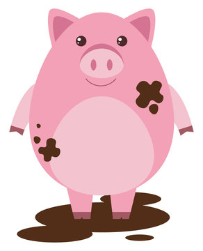 Pink pig in muddy puddle