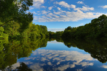 The river among trees in summer evening