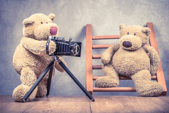 Teddy Bear toy photographer with old retro outdated film camera making photo shoot of model on wooden ladder concept. Vintage instagram style filtered photography