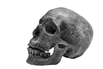 Human Skull isolated on white background