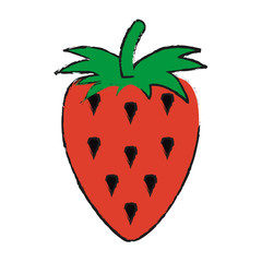 Colorful strawberry doodle over white background vector illustration