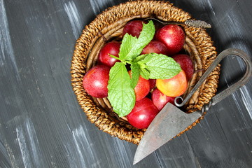 Overhead shot of Red Cherry plums on grey background