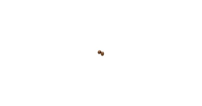 Coffee beans stop motion animation as glowing lightbulb and the word coffee