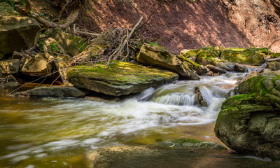 small cascade at Great Falls, Hamilton