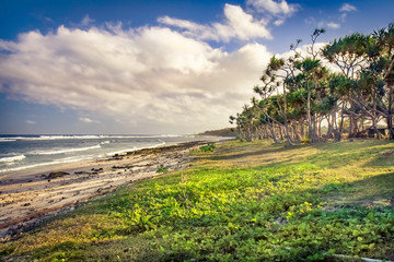 Vanuatu Tropical Coastline