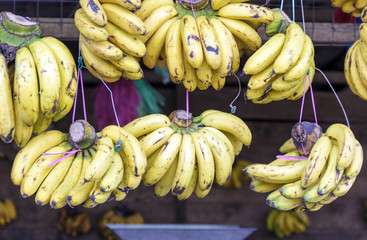Bananas at street shop