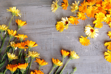 the pattern of calendula flowers on the table - obrazy, fototapety, plakaty