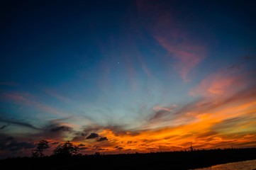 reflections of sunset silhouette in the cypress swamp