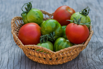 Fresh green and red tomatoes in a wicker plate on a wooden table vintage closeup
