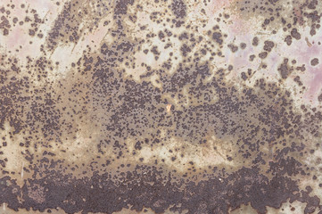 rust