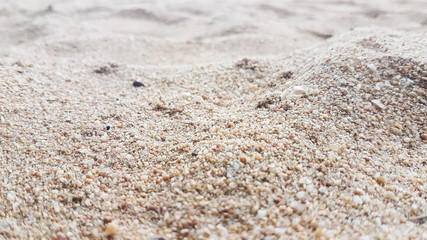 Focus of slope sand on the beach in horizontal view