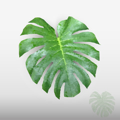 Green leaf in low poly style, plant Monstera Deliciosa, Swiss Cheese Plant, holes natural botanical leaf on a grey background.