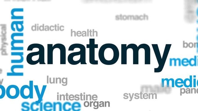 Anatomy animated word cloud, text design animation.
