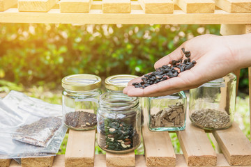 Seeds on hand with jar ,on wooden shelves background.Ecology conserve concept.