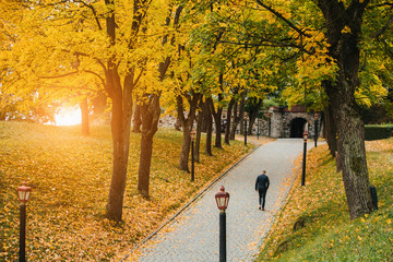 A man is walking in an autumn park