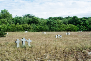 Fototapeta premium A view to old stone crosses and trees in the dry autumn grass at the old German cemetery of the Second World War at the city of Baltiysk, Kaliningrad region, Russia.
