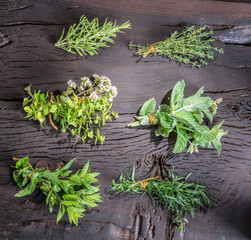 Fresh herbs on the wooden table.